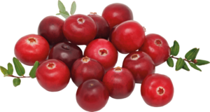 cranberries